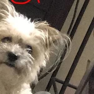 Meet your Posher, Marco